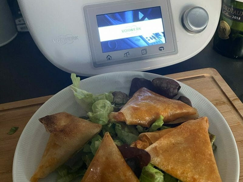 Cliquez pour zoomer ! Samoussas de légumes Thermomix par marylin_3