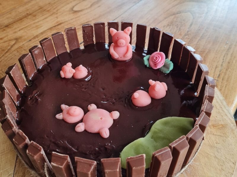 Cliquez pour zoomer ! La mare aux cochons Thermomix par douby