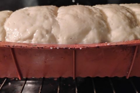 Cliquez pour zoomer ! Pain de mie au Tangzhong Thermomix par Biques