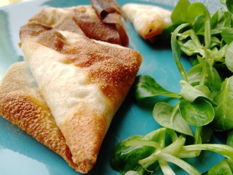 Cliquez pour zoomer ! Bricks au thon Thermomix par Biques