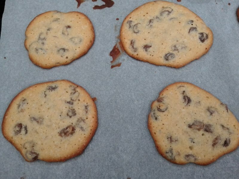 Cliquez pour zoomer ! Palets de Chambord Thermomix par Biques