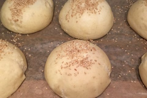 Cliquez pour zoomer ! Pains hamburger au Thermomix