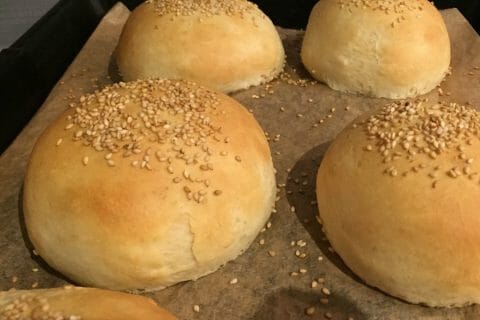 Cliquez pour zoomer ! Pains hamburger au Thermomix