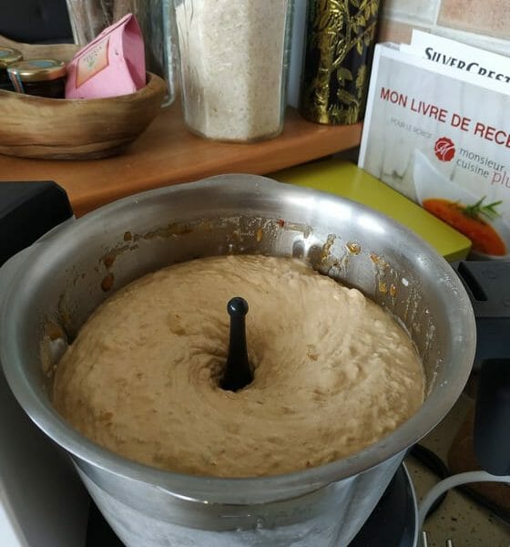 Cliquez pour zoomer ! Sorbet mirabelle Thermomix par solene_81