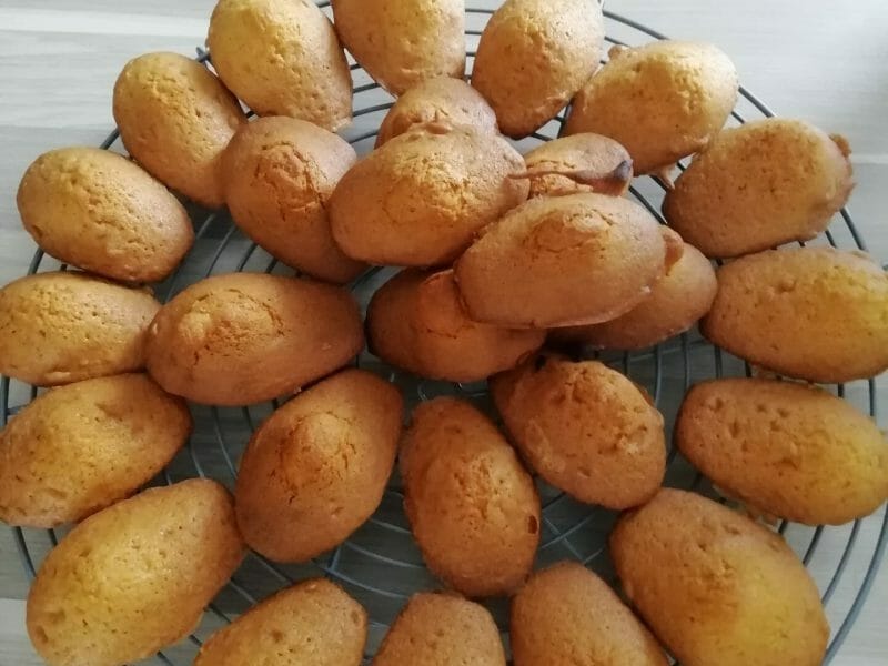 Cliquez pour zoomer ! Madeleines Thermomix par melanie