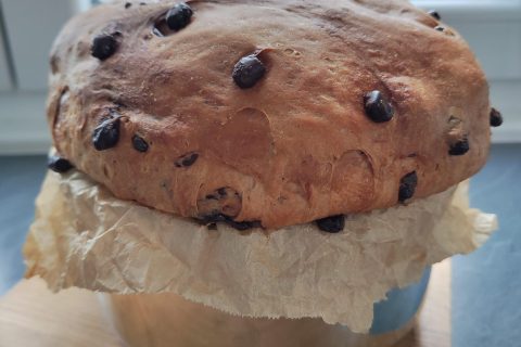 Cliquez pour zoomer ! Panettone Thermomix par Yanette