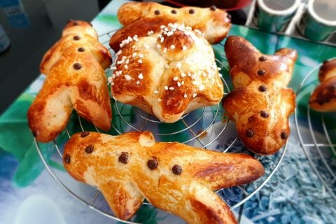 Cliquez pour zoomer ! Photo de binii