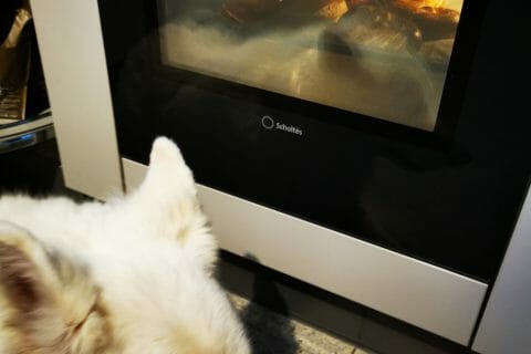 Cliquez pour zoomer ! Bretzels Thermomix par aurore93