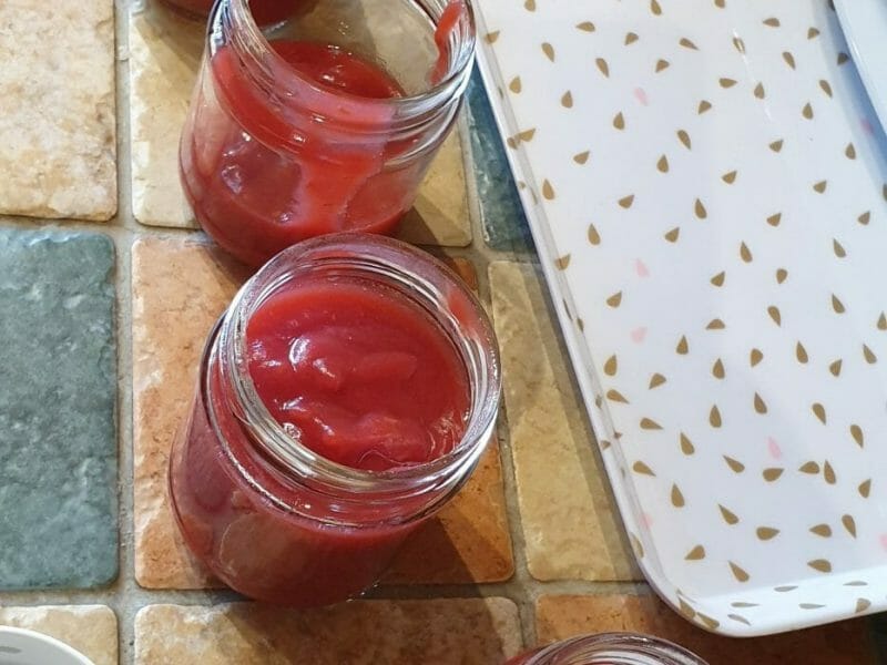 Compote pomme framboise au Thermomix Cookomix