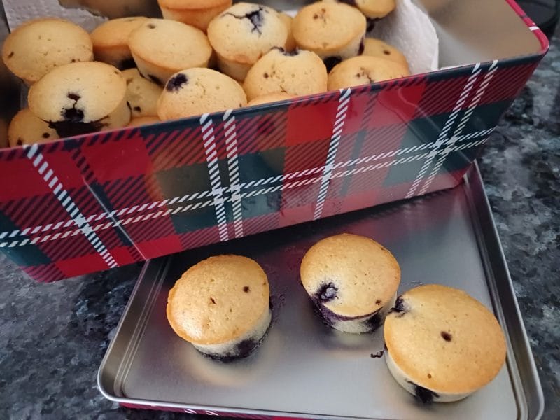 Cliquez pour zoomer ! Visitandines aux framboises Thermomix par mm65320