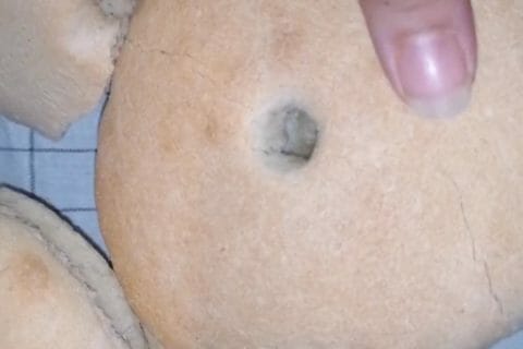 Cliquez pour zoomer ! Matlouh – Pain tajine Thermomix par Tifa_cooking