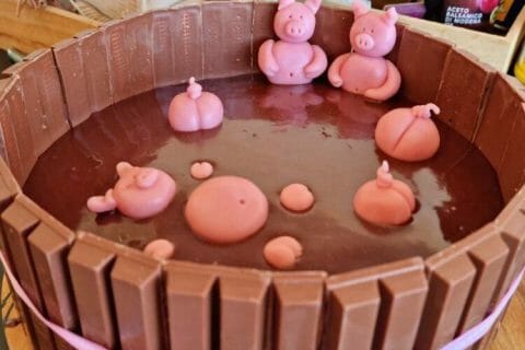 Cliquez pour zoomer ! La mare aux cochons Thermomix par nastrohippopo