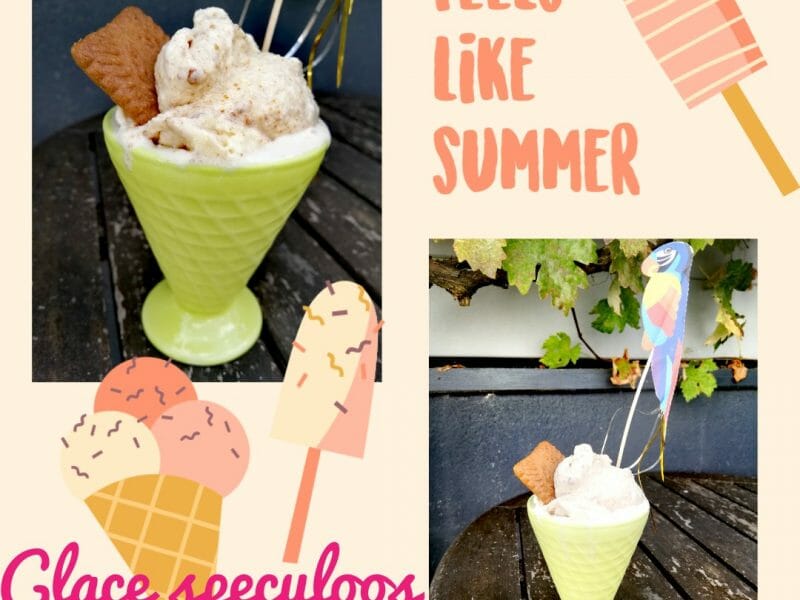 Cliquez pour zoomer ! Glace aux Speculoos Thermomix par Caro35400