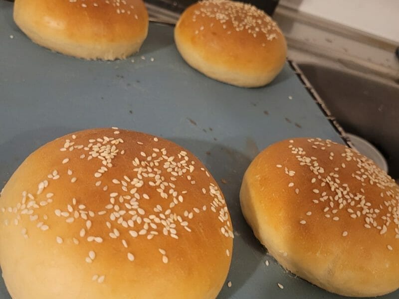 Cliquez pour zoomer ! Pains hamburger Thermomix par Sydney