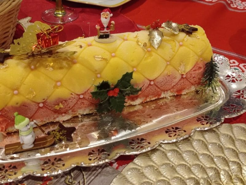 Cliquez pour zoomer ! Bûche glacée mangue et framboise Thermomix par mailo04