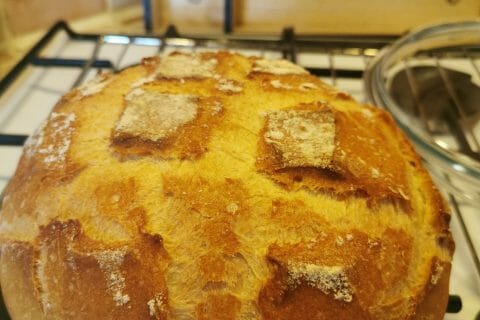 Cliquez pour zoomer ! Pain Cocotte Thermomix par cecile76330