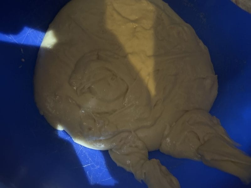 Cliquez pour zoomer ! Brioche Buchty Thermomix par Mélanie Mathys Maëva