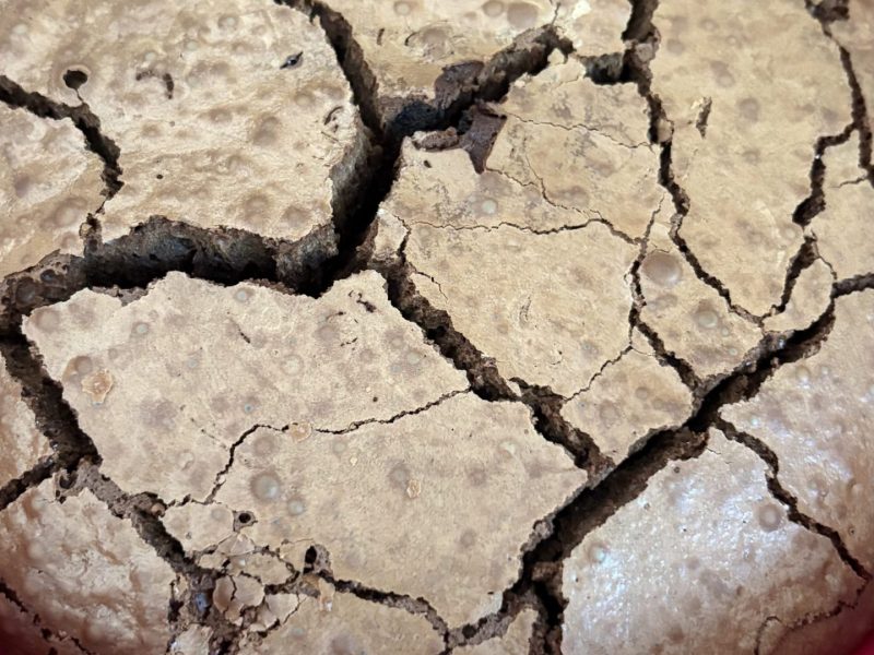 Cliquez pour zoomer ! Gâteau chocolat noix de coco Thermomix par charlotte_56420