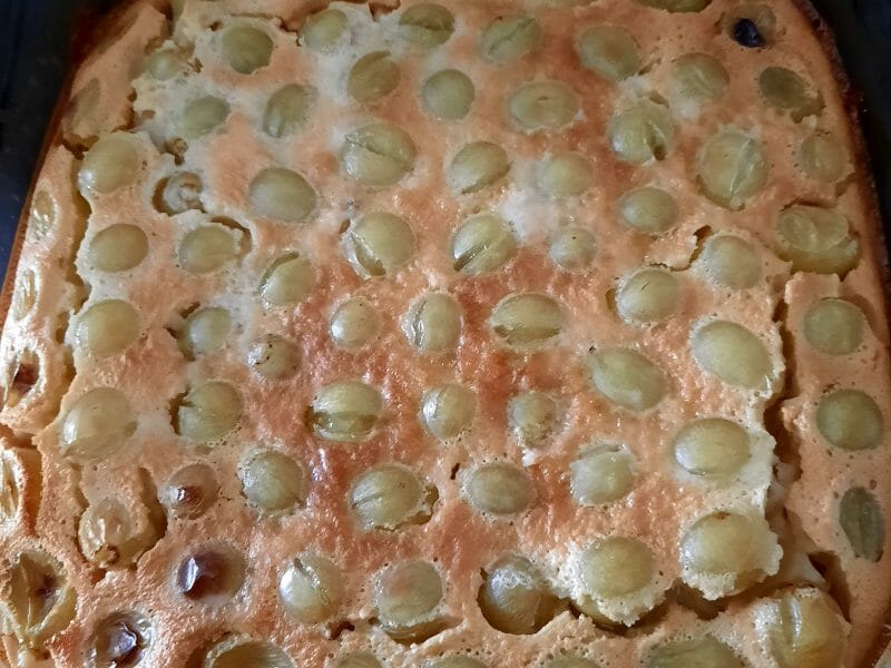 Cliquez pour zoomer ! Clafoutis aux raisins frais Thermomix par Isa69