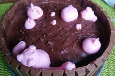 Cliquez pour zoomer ! La mare aux cochons Thermomix par Patrice