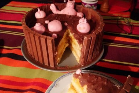 Cliquez pour zoomer ! La mare aux cochons Thermomix par Patrice