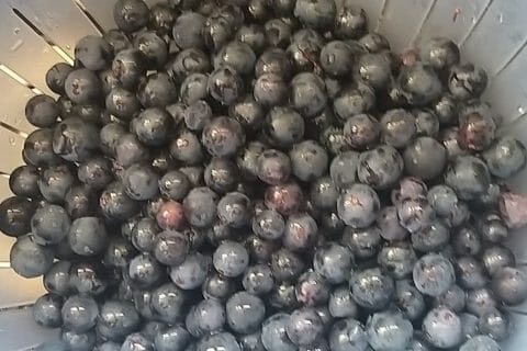 Cliquez pour zoomer ! Jus de raisins Thermomix par verobleu