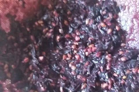 Cliquez pour zoomer ! Jus de raisins Thermomix par verobleu