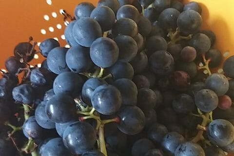 Cliquez pour zoomer ! Jus de raisins Thermomix par verobleu