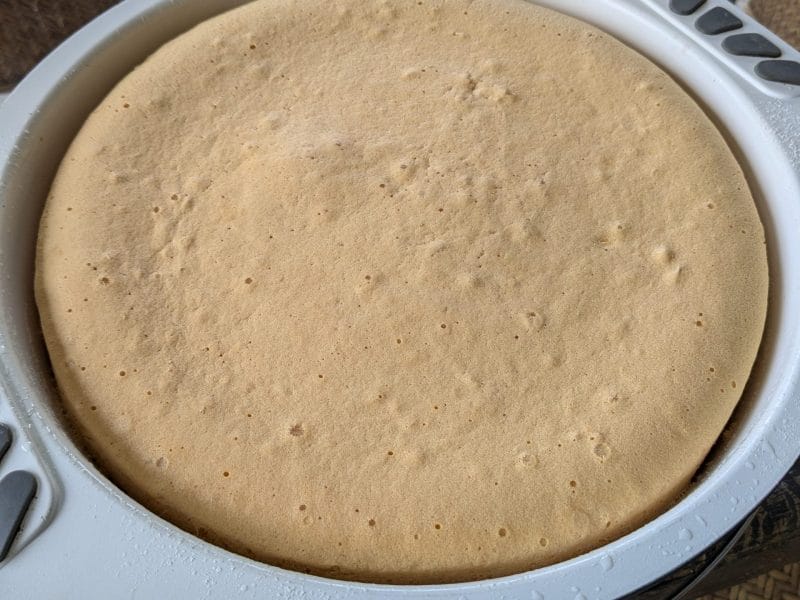 Cliquez pour zoomer ! Gâteau de savoie Thermomix par Sabzoly