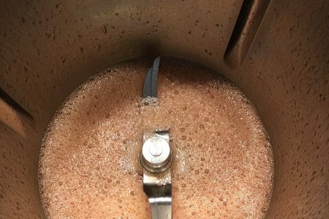 Cliquez pour zoomer ! Shot vodka fraise Thermomix par Petiote