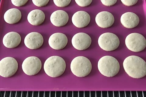 Cliquez pour zoomer ! Anis bredele Thermomix par Petiote