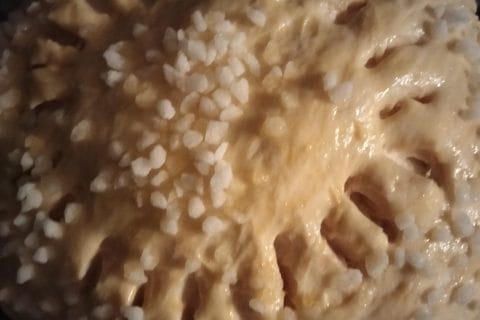 Brioche sans beurre, sans oeufs Thermomix par coco0205