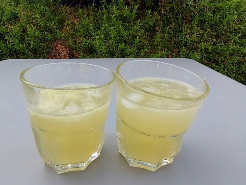 Cliquez pour zoomer ! Mojito Thermomix par pedrodailleurs