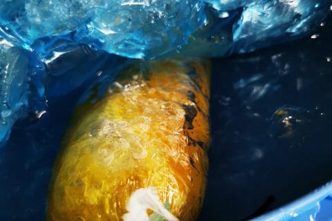 Cliquez pour zoomer ! Foie gras Thermomix par dadoune74