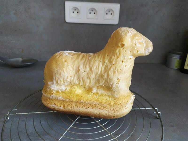 Cliquez pour zoomer ! Lamala (agneau de Pâques) Thermomix par aurelie1078