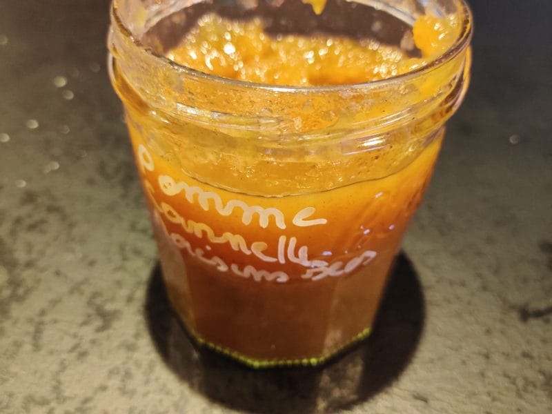 Cliquez pour zoomer ! Confiture de pomme, cannelle et raisins sec Thermomix par Albator