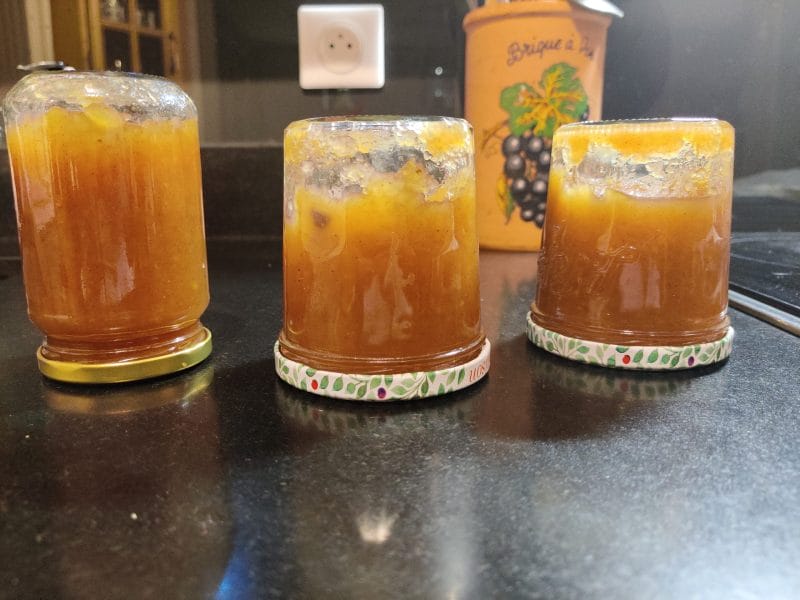 Cliquez pour zoomer ! Confiture de pomme, cannelle et raisins sec Thermomix par Albator