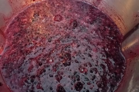 Cliquez pour zoomer ! Confiture de mûres Thermomix par orfe44