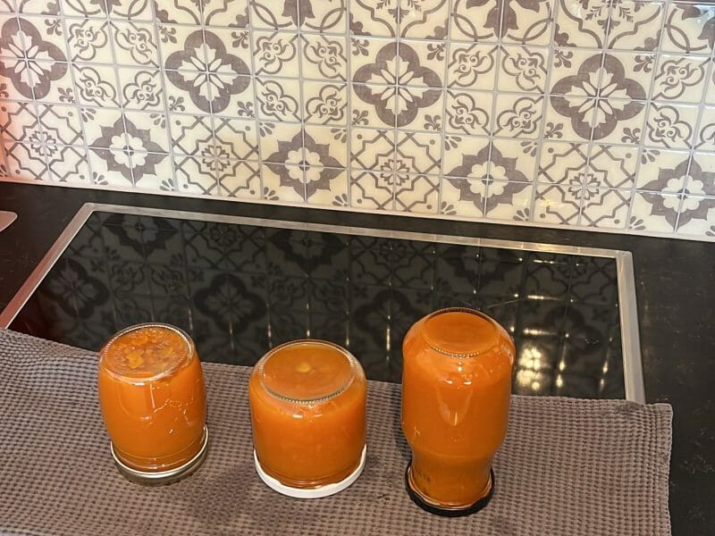 Cliquez pour zoomer ! Confiture pêches et abricots Thermomix par fred_69