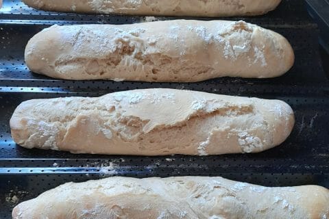 Cliquez pour zoomer ! Photo de alain_43