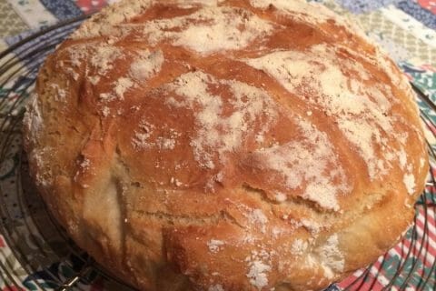 Photos des recettes