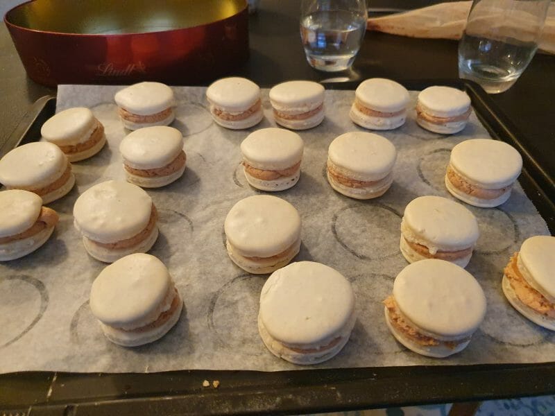 Cliquez pour zoomer ! Macarons salés au foie gras Thermomix par laura668