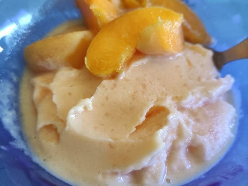Cliquez pour zoomer ! Sorbet melon Thermomix par laura_756