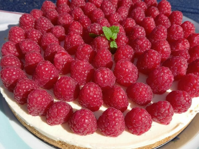 Cliquez pour zoomer ! Tarte aux fraises sans cuisson Thermomix par marinemunari