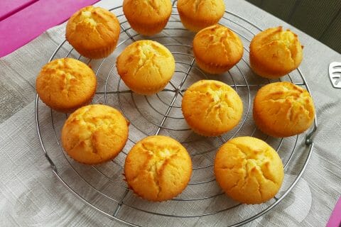Photos des recettes