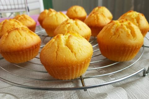 Photos des recettes