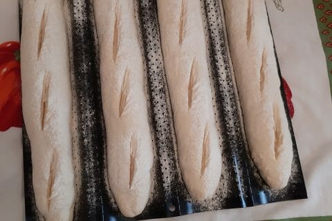 Photos des recettes