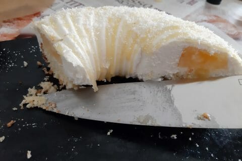 Cliquez pour zoomer ! Sorbet coco Thermomix par macze