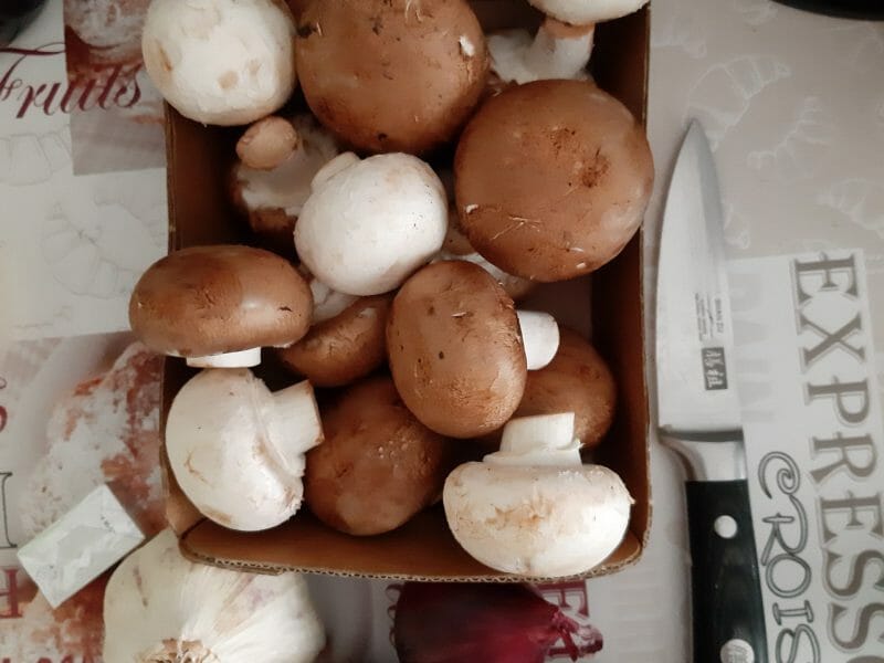 Cliquez pour zoomer ! Soupe au poulet et champignons Thermomix par macze