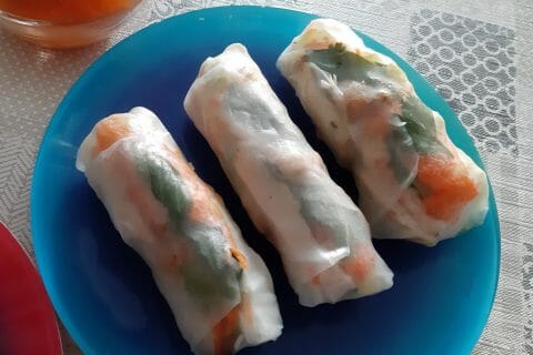 Cliquez pour zoomer ! Rouleaux de printemps Thermomix par macze